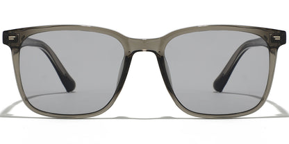 Al Zilfi Eyewear