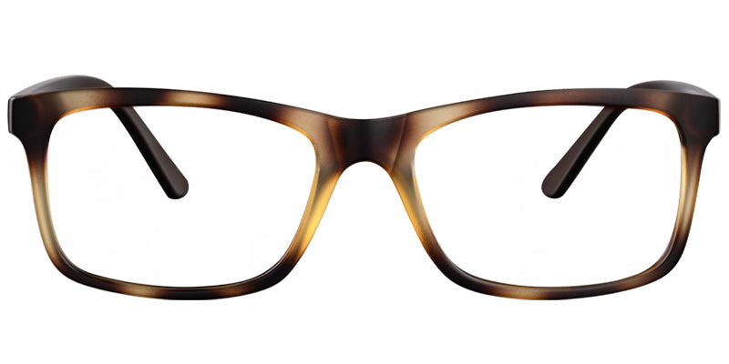 Alexandria Walkview Eyewear