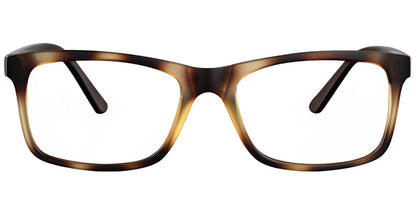 Alexandria Walkview Eyewear