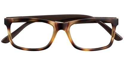 Alexandria Walkview Eyewear