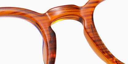Algiers Eyewear