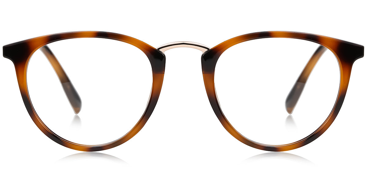 Amsterdam Dockside Eyewear