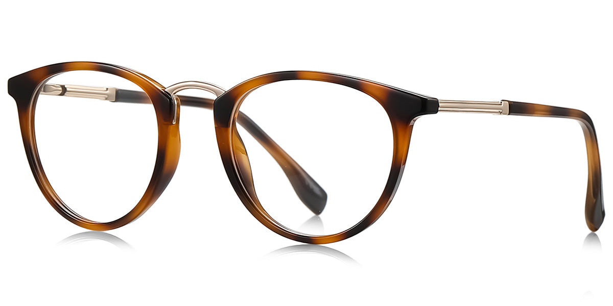 Amsterdam Dockside Eyewear