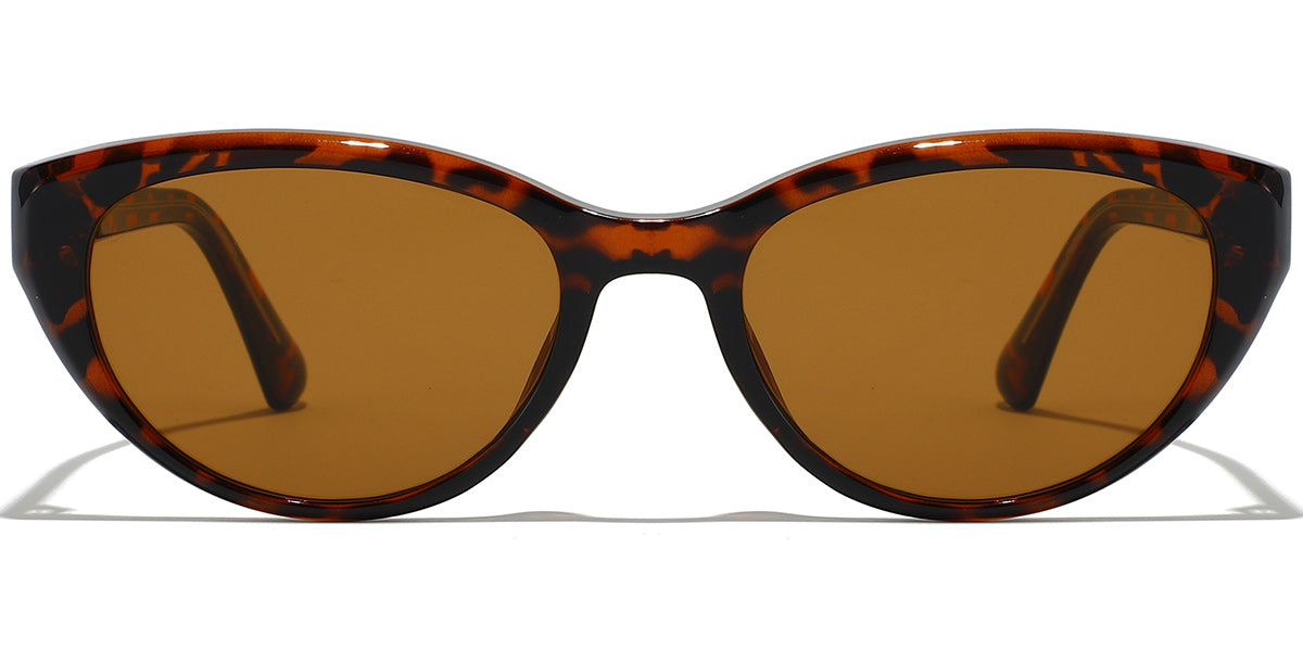 Belfast Eyewear