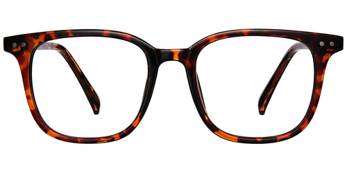 Brilliant Sagacity Eyewear