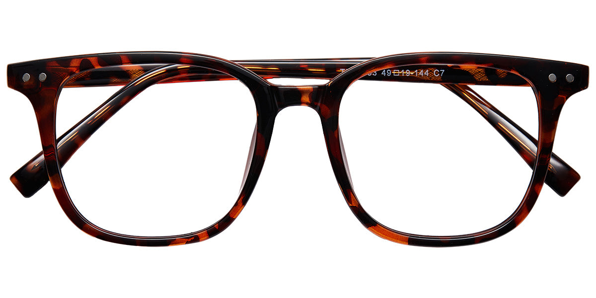 Brilliant Sagacity Eyewear