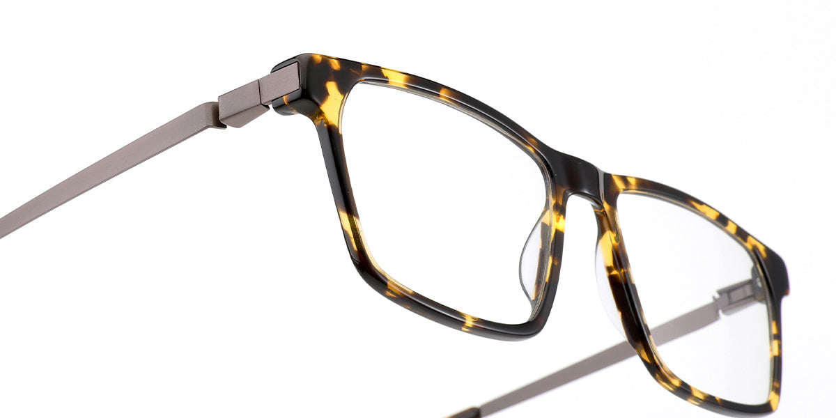 Bristol Eyewear