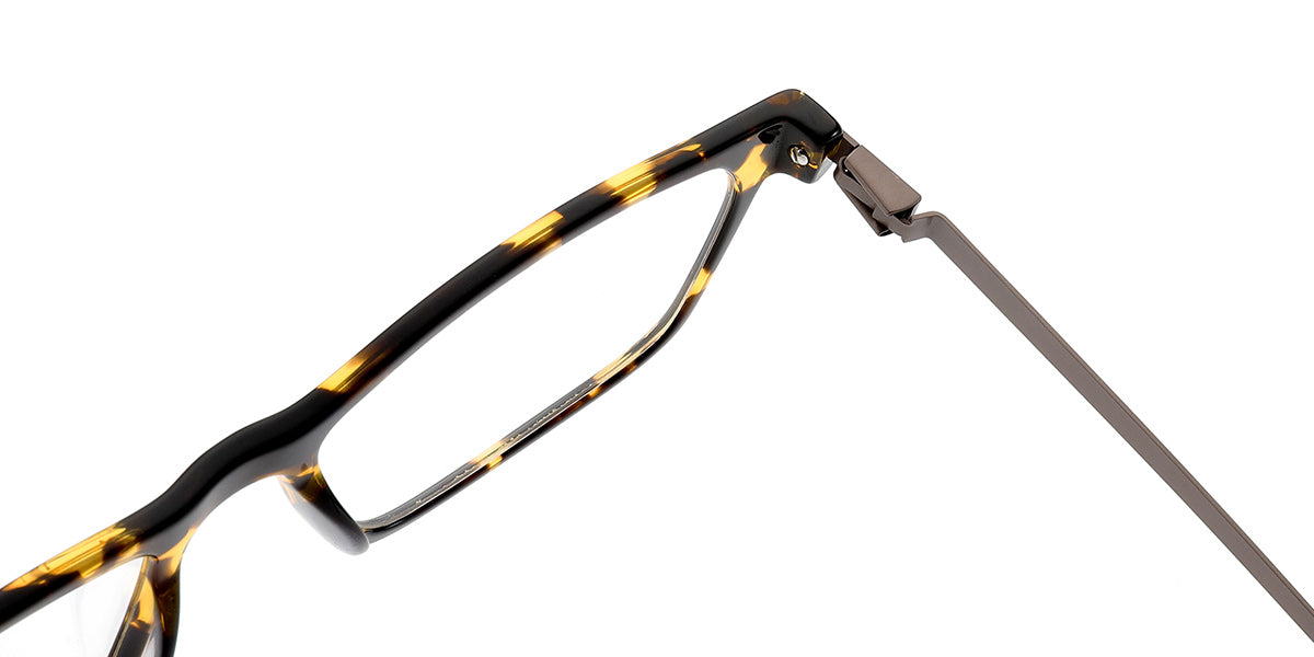 Bristol Eyewear