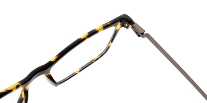 Bristol Eyewear
