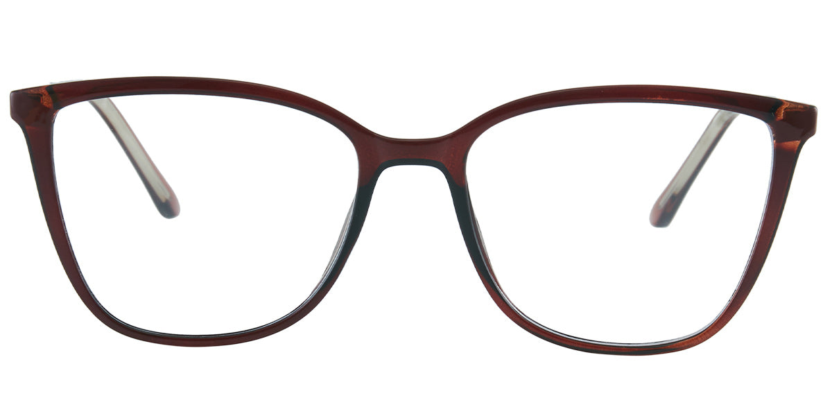 Chittagong Shoreline Eyewear