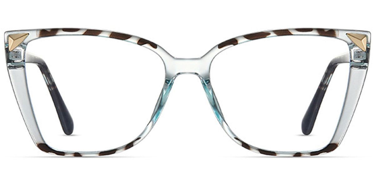 Class Spirit Eyewear