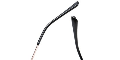 Coastal Palms Eyewear