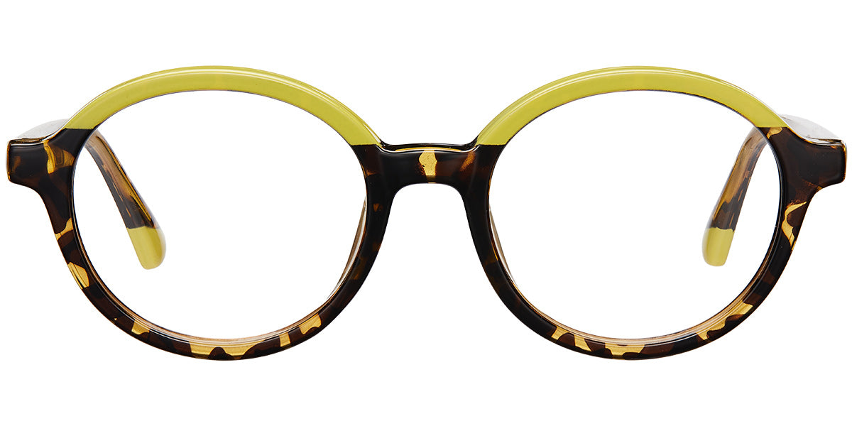 Friendly Dolphin Eyewear