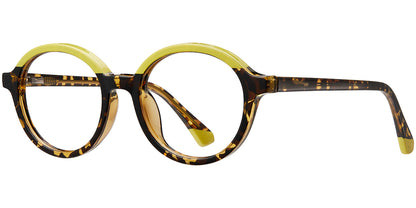 Friendly Dolphin Eyewear