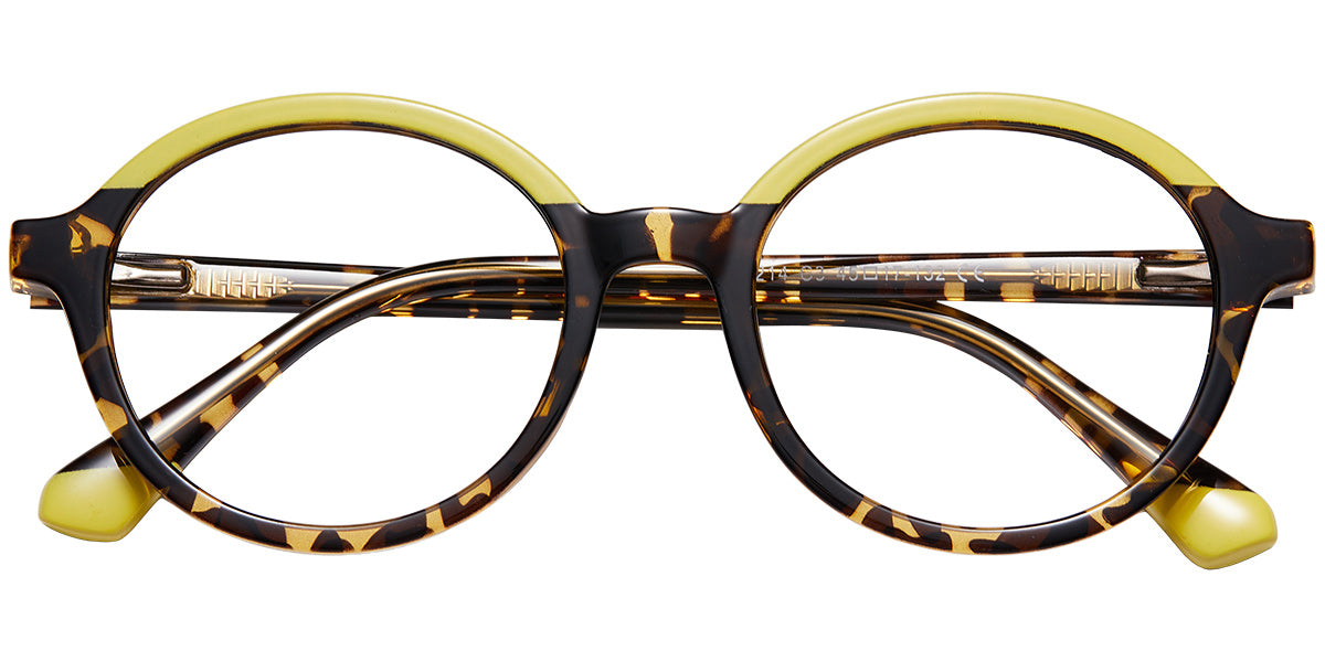Friendly Dolphin Eyewear