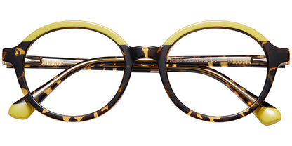 Friendly Dolphin Eyewear