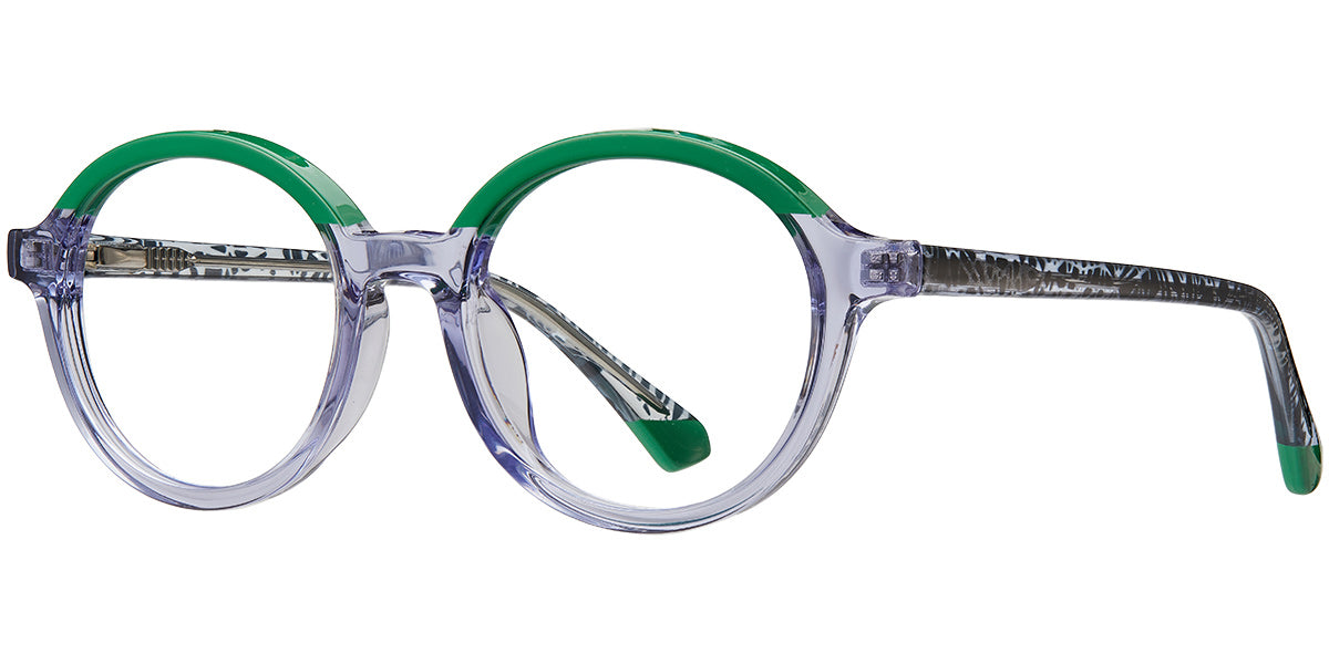 Friendly Dolphin Eyewear