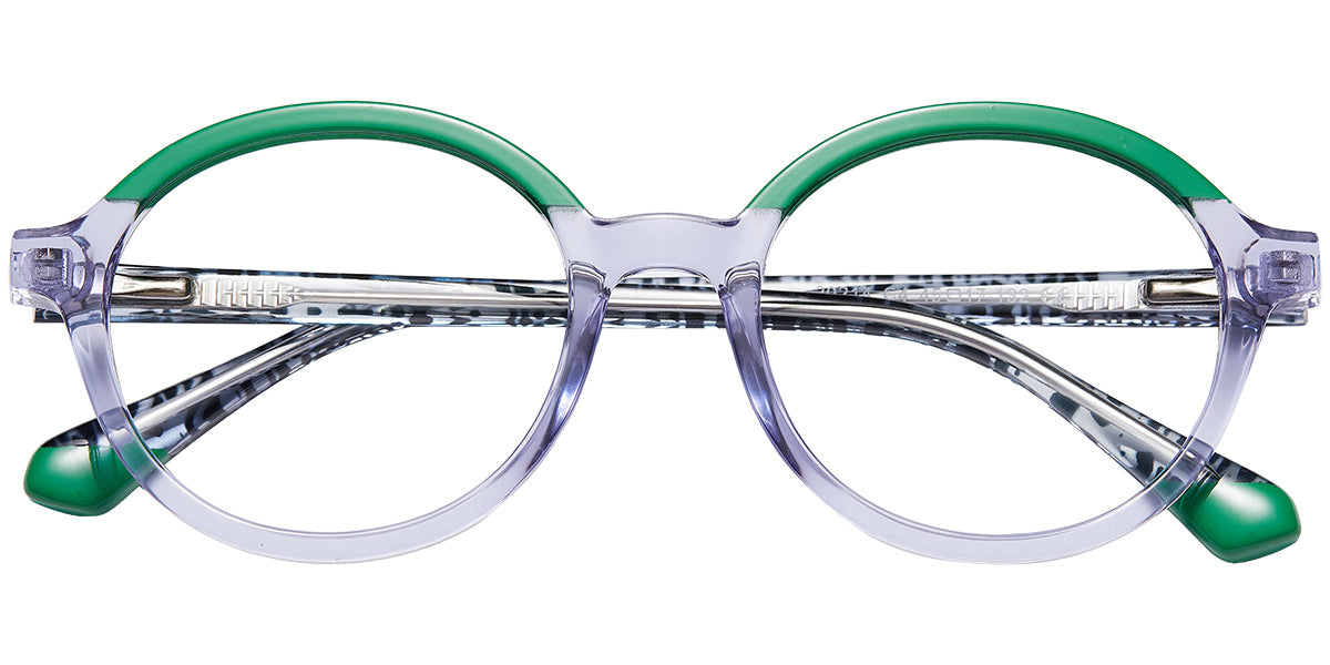 Friendly Dolphin Eyewear