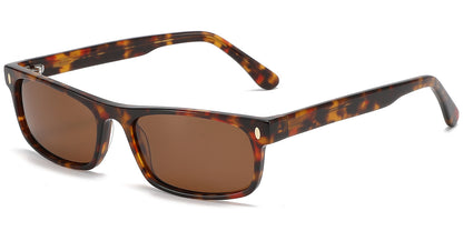 Hotat Bani Tamim Eyewear