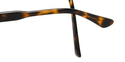 Loyal Spirit Eyewear
