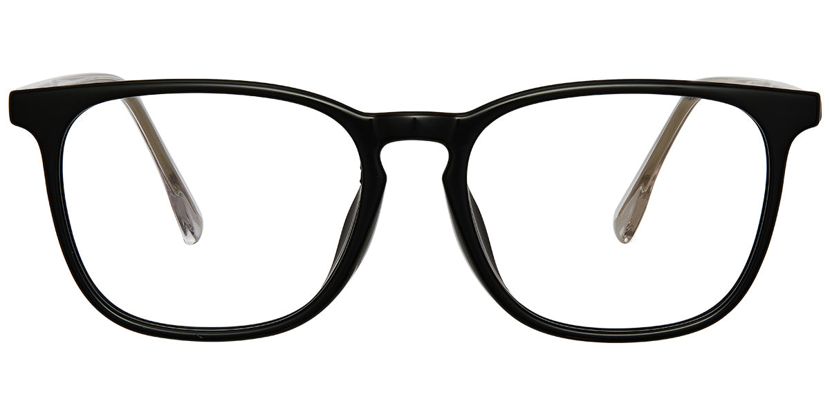 Luxurious Sobriety Eyewear