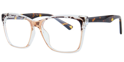 Male Eyewear