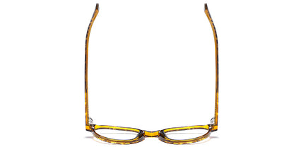 Manhattan View Eyewear