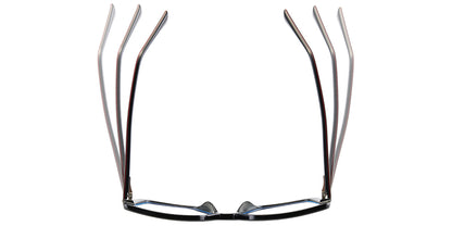 Oasis Sun Eyewear