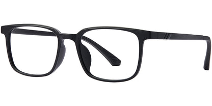 Palm Gardens Eyewear
