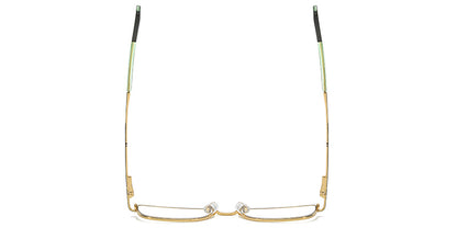 Perfection Elevation Eyewear