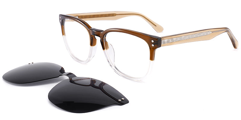 San Jose Bayfront Eyewear