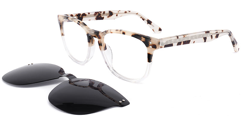 San Jose Bayfront Eyewear