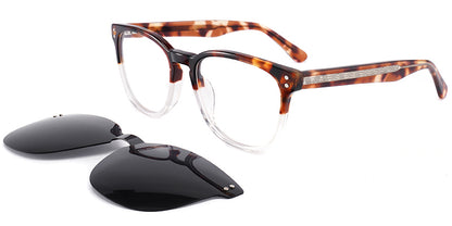 San Jose Bayfront Eyewear
