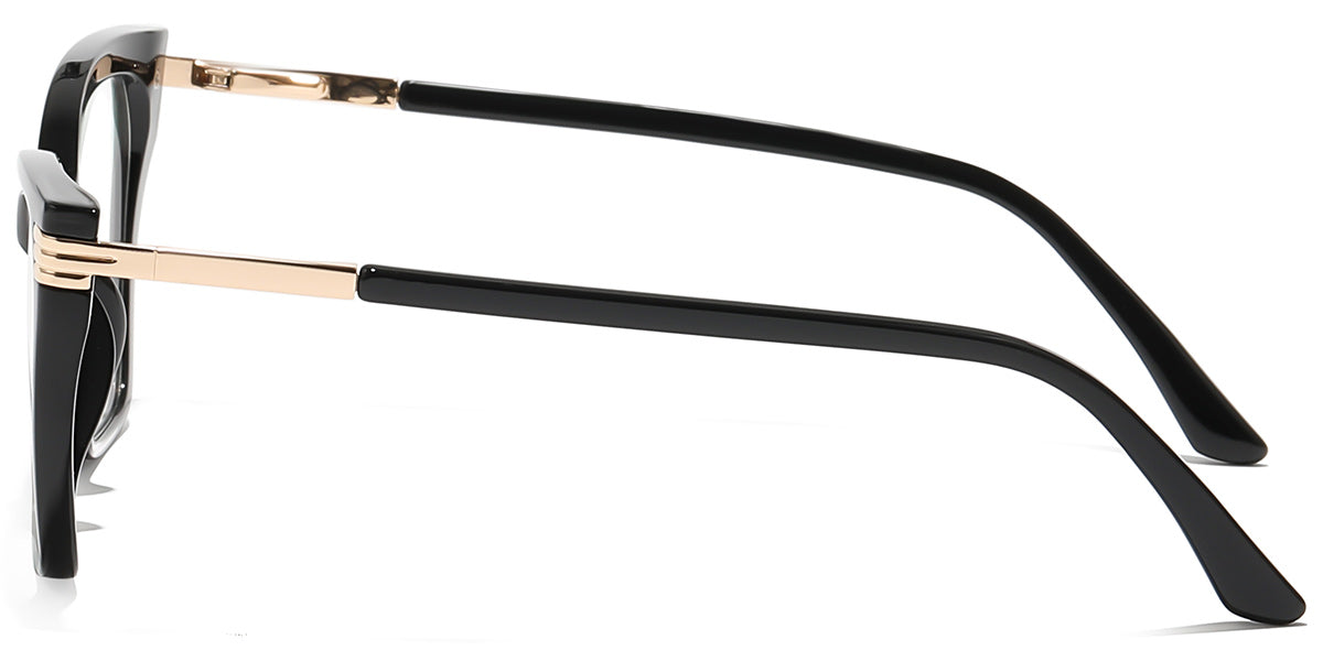 Shining Appreciation Eyewear