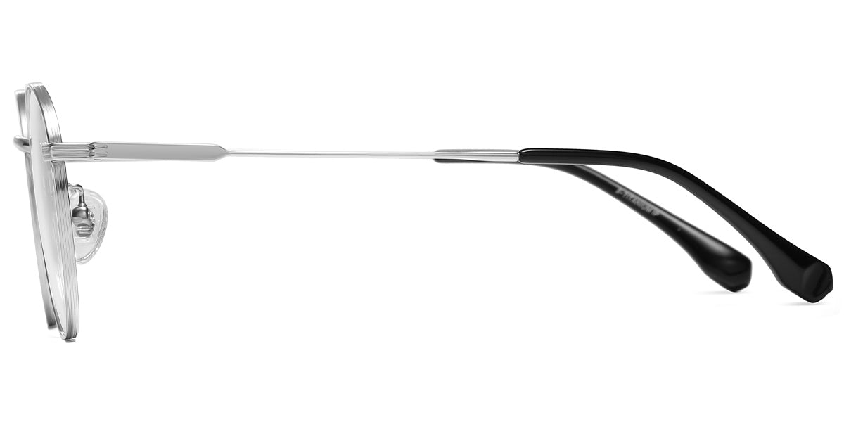 Silver Coastline Eyewear