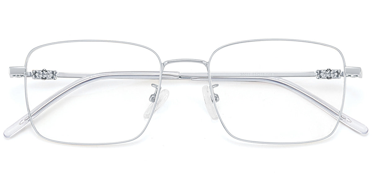 Silver Coastline Eyewear