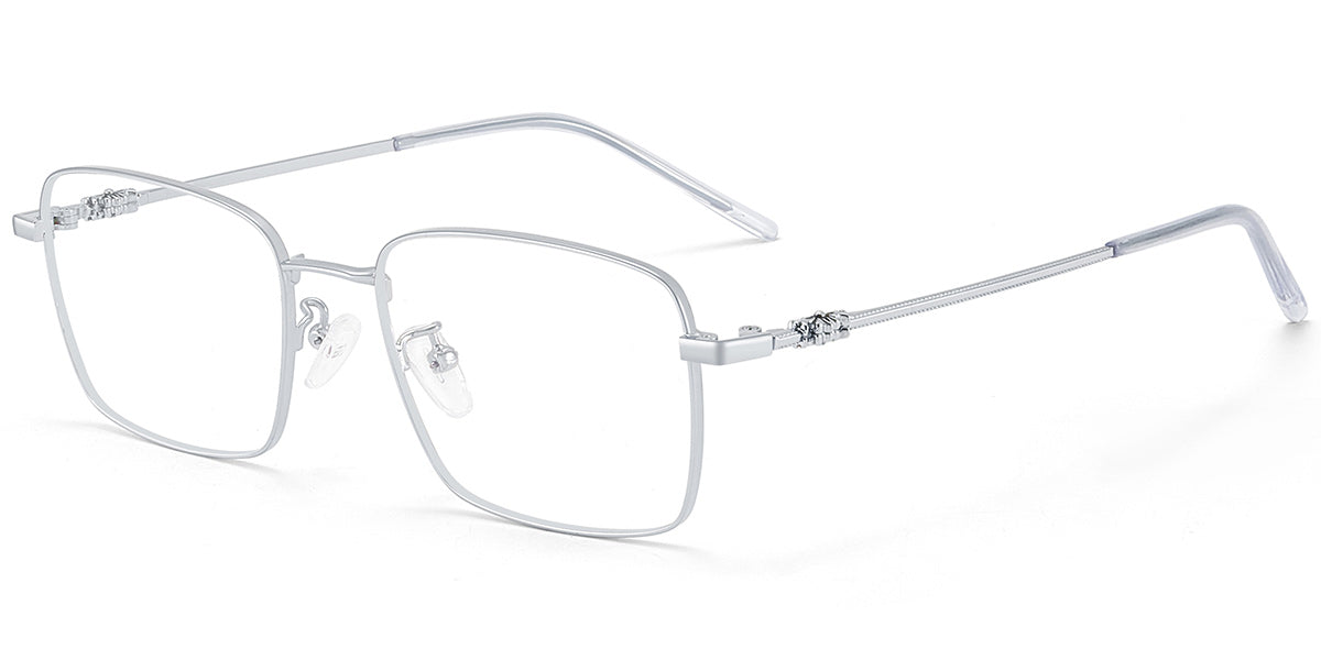 Silver Coastline Eyewear