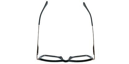 Sunrise Gardens Eyewear