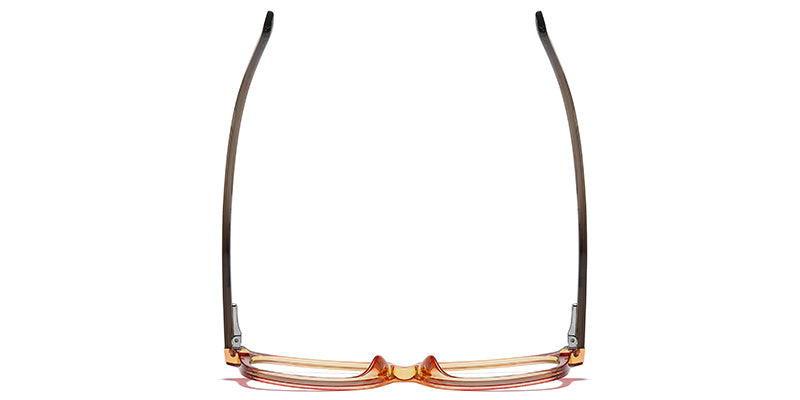 Teddy Hug Eyewear