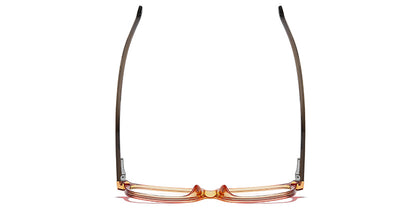 Teddy Hug Eyewear