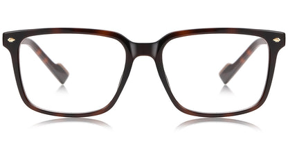 Tunis Eyewear