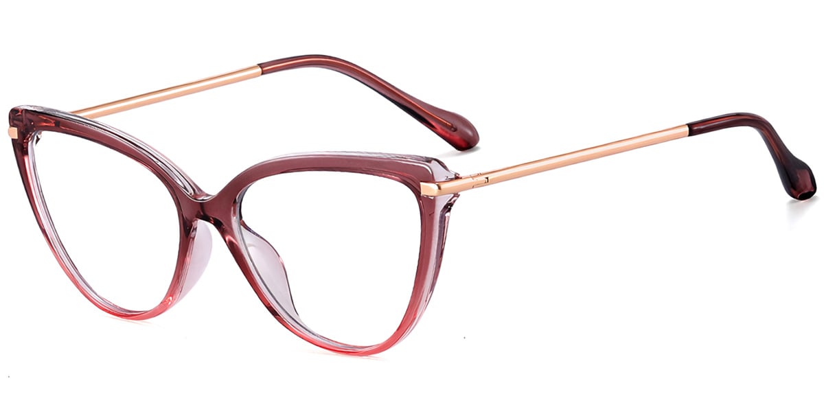 Vision Perception Eyewear