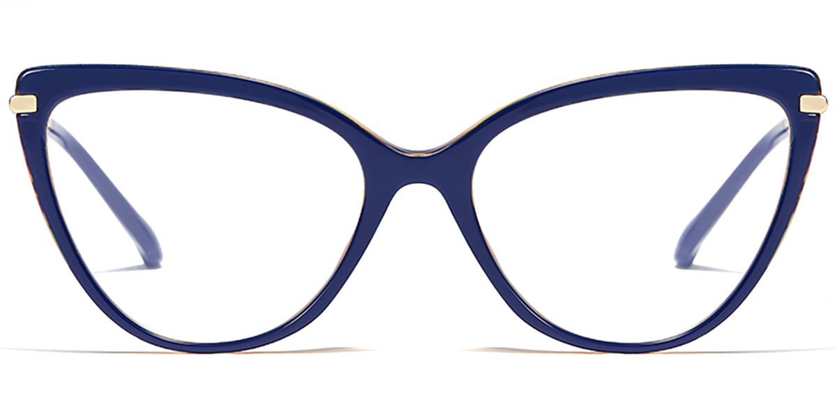 Vision Perception Eyewear
